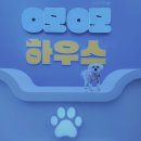 [청담/도산] 오모오모하우스 팝업 @꼴라보하우스도산 (feat. 별사진관/우쭈쭈/주차팁)
