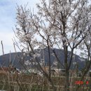 덕산방 이미지