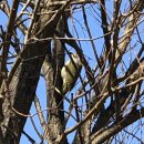 터줏대감 이미지