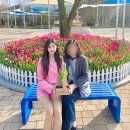 큰대광목장 | 용인 자작나무숲 봄꽃축제 실시간! 경기도 용인 가볼만한곳 추천 놀거리 볼거리 여행 애견동반 가능