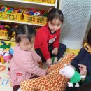 다은동물병원 이미지