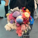 세상살이 이미지