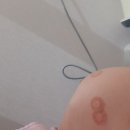 마디웃는연합의원 이미지