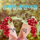 맨날맨날 이미지