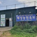 태성주유소 이미지
