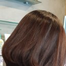 김찬헤어 이미지