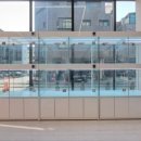 헬로 다키 이미지