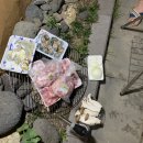 귤꽃스테이 이미지