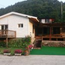 버들치민박 이미지