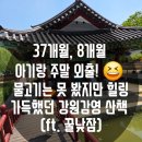 행복한 미술 세상 | [원주 아기랑] 주말 나들이 팩트 코스: 중앙시장 공영주차장 주차, 강원감영 및 일산팥죽 칼국수 후기