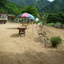 솔향기펜션민박 이미지