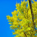 삼주1공인중개사사무소 이미지