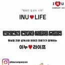 아이앤유컴퍼니 이미지