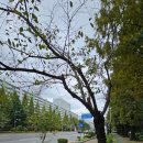 에셀목장 이미지