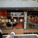 핫독애견 이미지