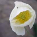 꽃집민박 이미지