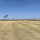 후니골프 이미지