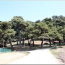 송암마을회관 옆 이미지