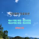 상남동239 이미지