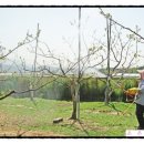 유등농장 이미지