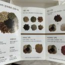 샌씨네 이미지