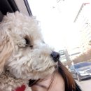 더행복해짐 이미지