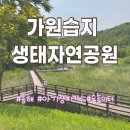 가원습지생태자연공원 | [동해] 가원습지 생태자연공원 | 아이와 함께 놀기 좋은 놀이터 | 피크닉 장소 추천