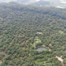 박정현농장 이미지