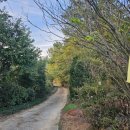 상남 버스정류장 이미지