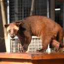 논일농장 이미지