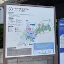 과천 서울대공원 장미축제 주차장 꿀팁 입장료 후기 총정리