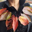 아이림유치원 이미지