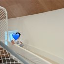 하몽하몽 키즈풀빌라 이미지