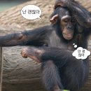 진도정통식품 | 통째로 날아간 여름을 회수해왔다