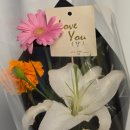 구로-공단-구로-16 | 임신 확인 후 구로보건소에서 임신초기검사 받고 임산부 등록하기 (임산부 뱃지, 임신선물 GET)