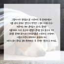 동두천시 재활용선별장 | 동두천 솜틀집 이불관리 재활용 만족해요~