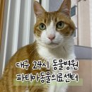 파티마요양병원 | 대구 24시 동물병원 추천 24시 파티마동물의료센터 고양이 주말수술