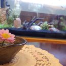 꽃집아재비 이미지