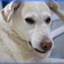 세종약국 이미지