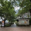제일세탁소 | 용산 아크로세탁소 오래된 샤넬 운동화 세탁 후기 서울 용산 명품세탁 명품 신발 세탁 추천