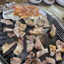 옵스실내포장마차 이미지