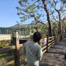 카우만 동물병원 | 우리 아이들, 말 덕후 되다! 과천 렛츠런파크 좌충우돌 체험기 🐴