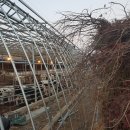 희둘영목장 이미지