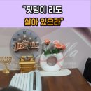 아모스미션