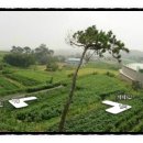 지제2동마을회관 이미지