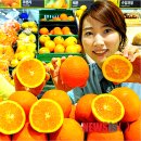 오렌지 이미지