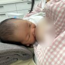 울진군 공공산후조리원 | 🍼[산후조리원1일차] 병동퇴원/조리원입소/공공산후조리원/이름결정/출생신고/모자동실