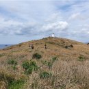 [오션뷰~6연박] 꽃 길만 걷게 해줄께~~ 제주 힐링여행 (05월06일(수)~12일(화)＼6박7일 신청해 주세요. 이미지