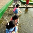 온신초등학교 이미지