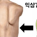 이재규 스포츠 재활 이미지